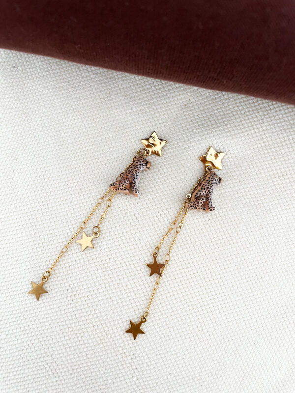 Pendientes WILD - Imagen 2